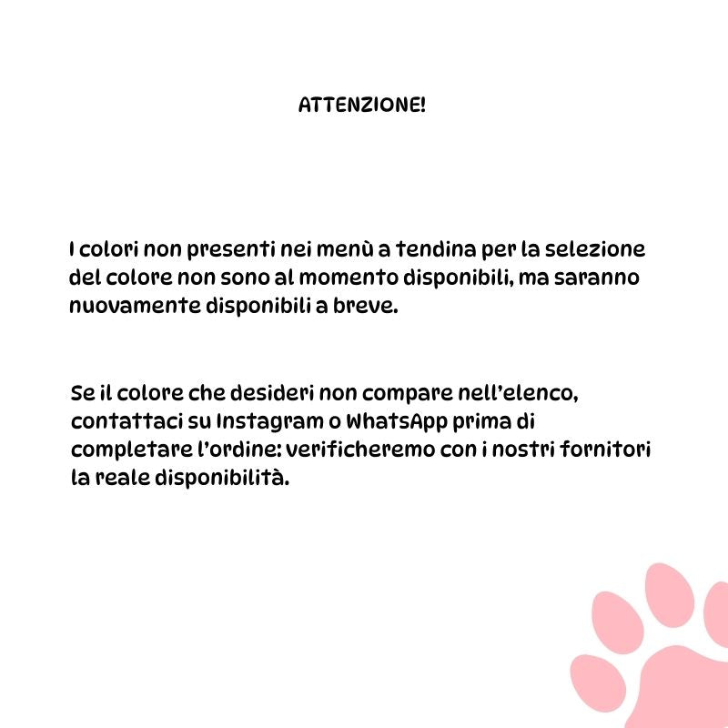 Collare in Biothane e Paracord - Stay