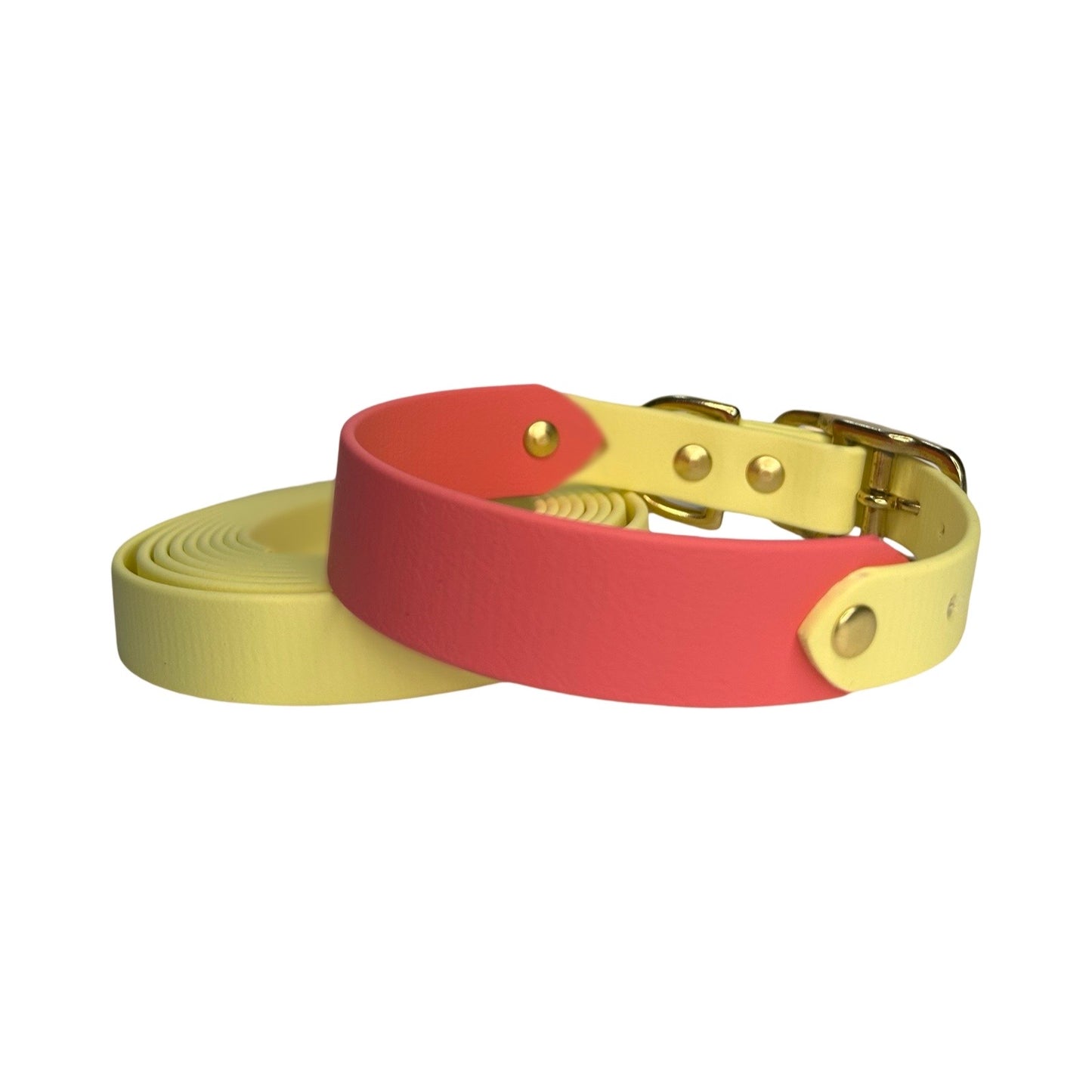 Collare Duo in Biothane - Locked