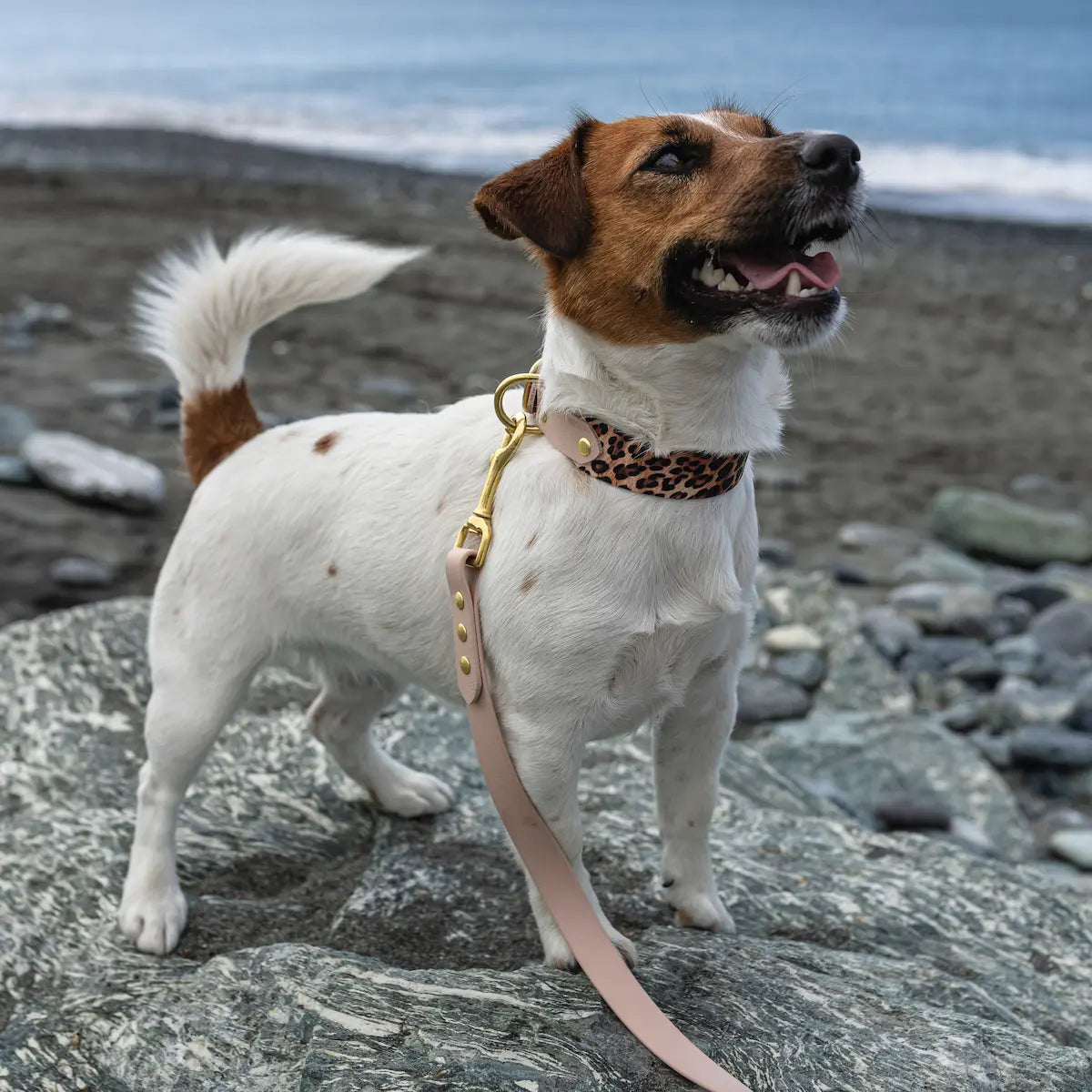 Collare Duo in Biothane - Locked