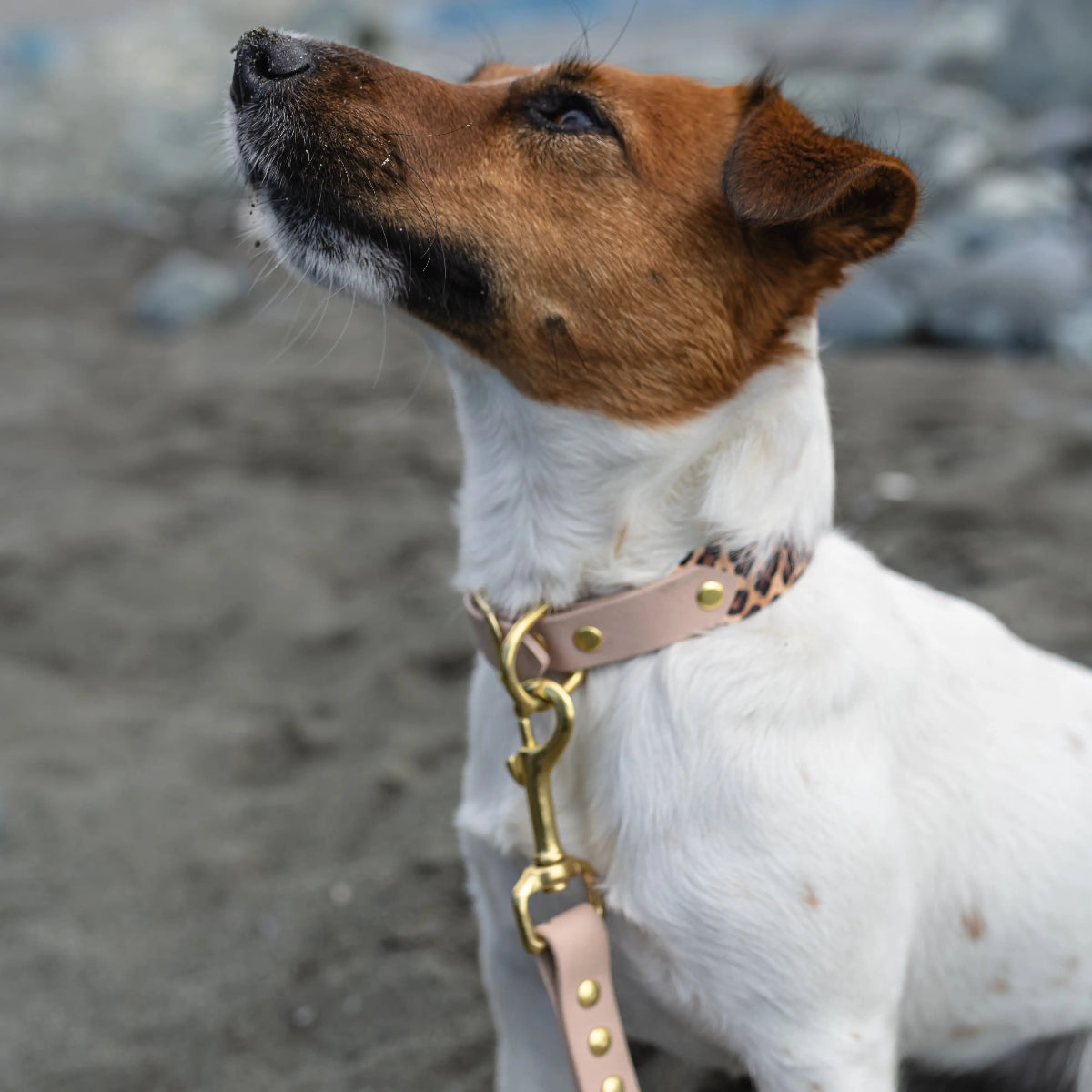 Collare Duo in Biothane - Locked