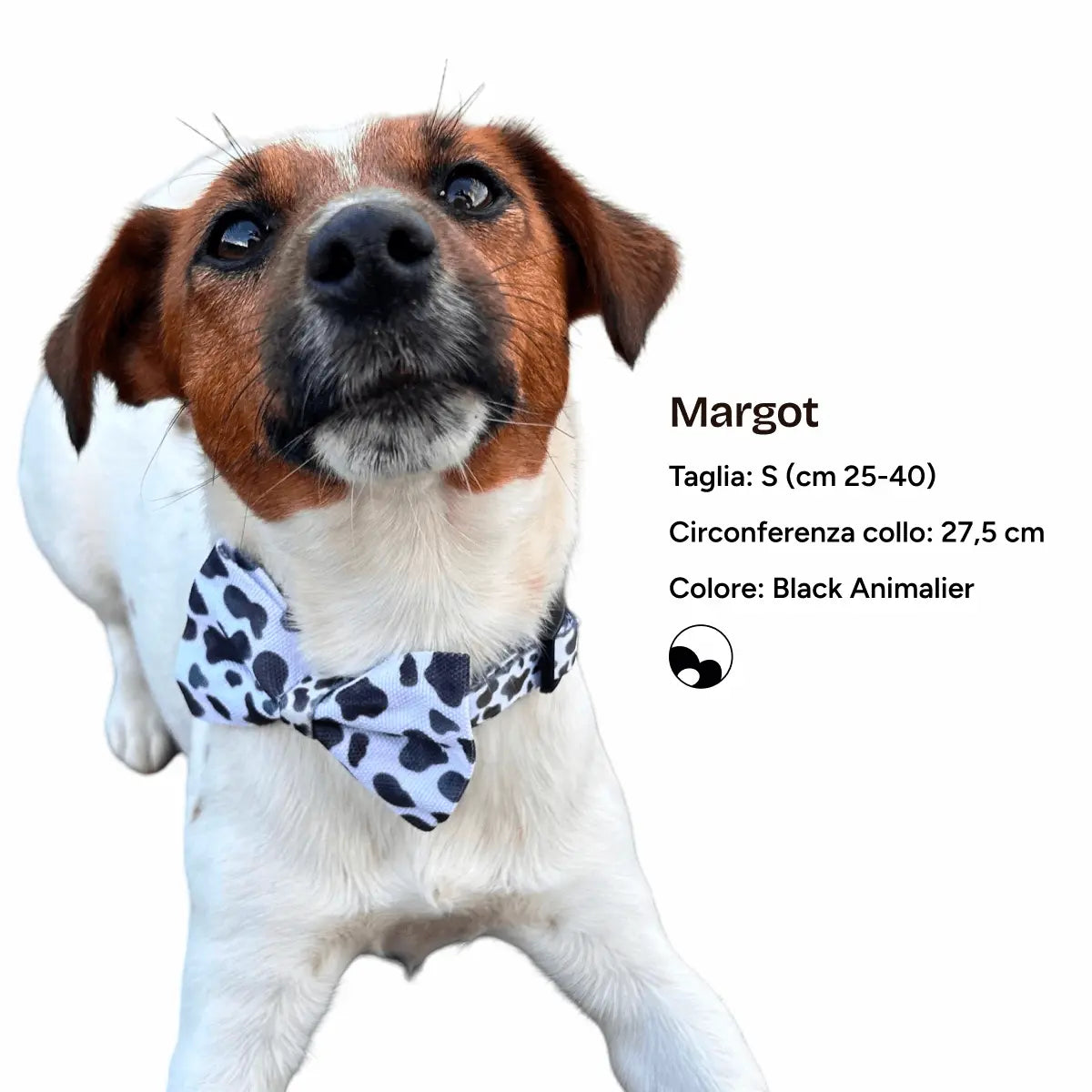 SET DRESSY - Stile e praticità, per accompagnarvi in ogni passeggiata.