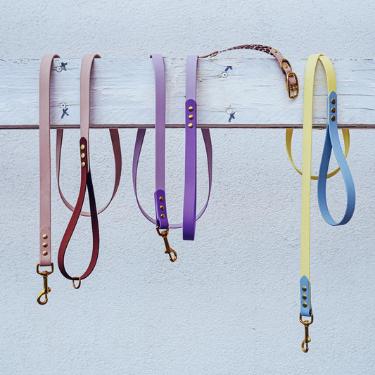 Guinzaglio in Biothane - Walk With Me