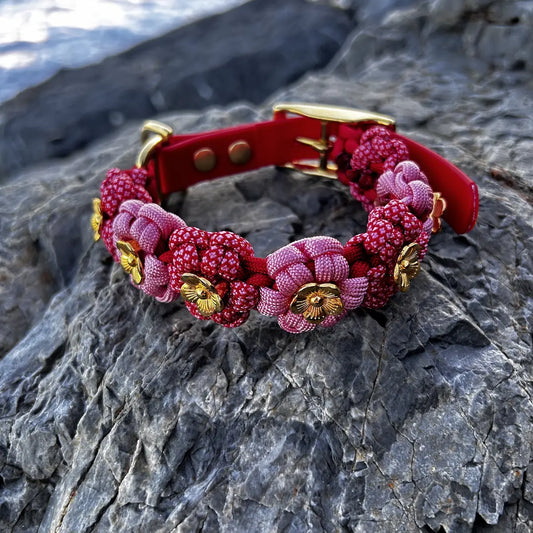 Collare in Biothane e Paracord - Blossom