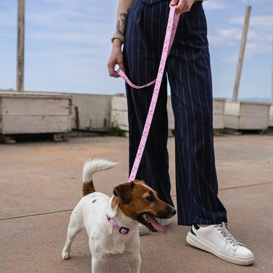 SET DRESSY - Stile e praticità, per accompagnarvi in ogni passeggiata.