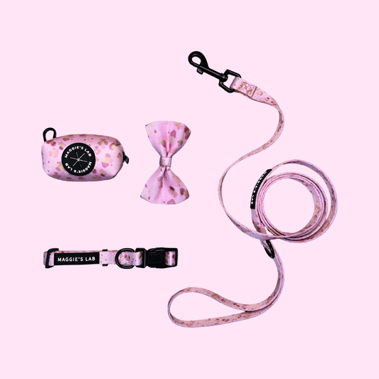 SET DRESSY (collare + guinzaglio + porta sacchetti Maggie’s Lab)